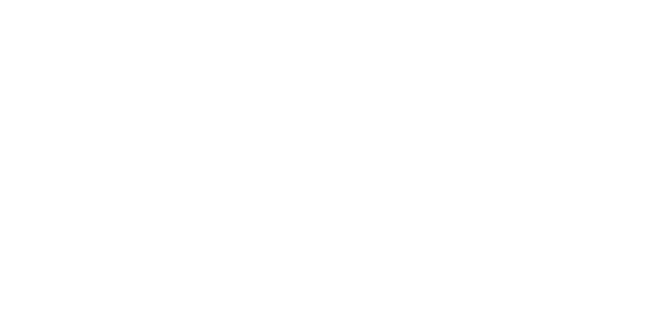 LIEromi Logo